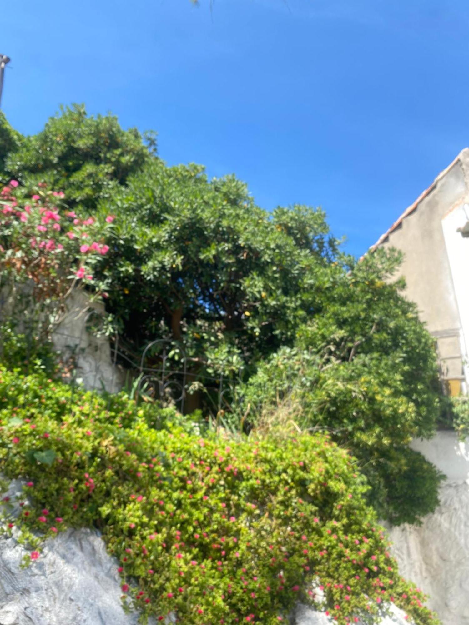 Au Coeur Du Parc National Du Massif Des Calanques, La Flibuste Des Goudes, Maison 2 Chambres, Climatisee, Jardins, Solarium, Proche Plage, Large Vue Mer Marselha Exterior foto